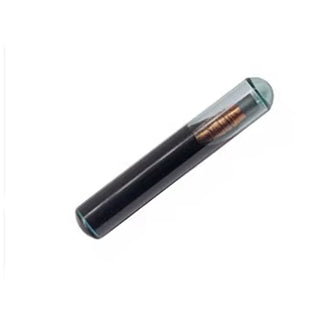 Transponder TPX2 Chip Glass
