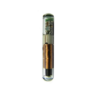 Transponder 4D60 Chip Glass