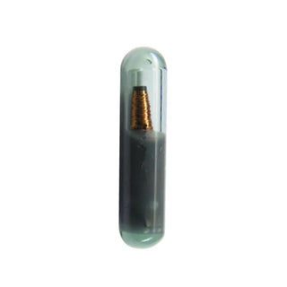 Transponder T5 Chip Glass